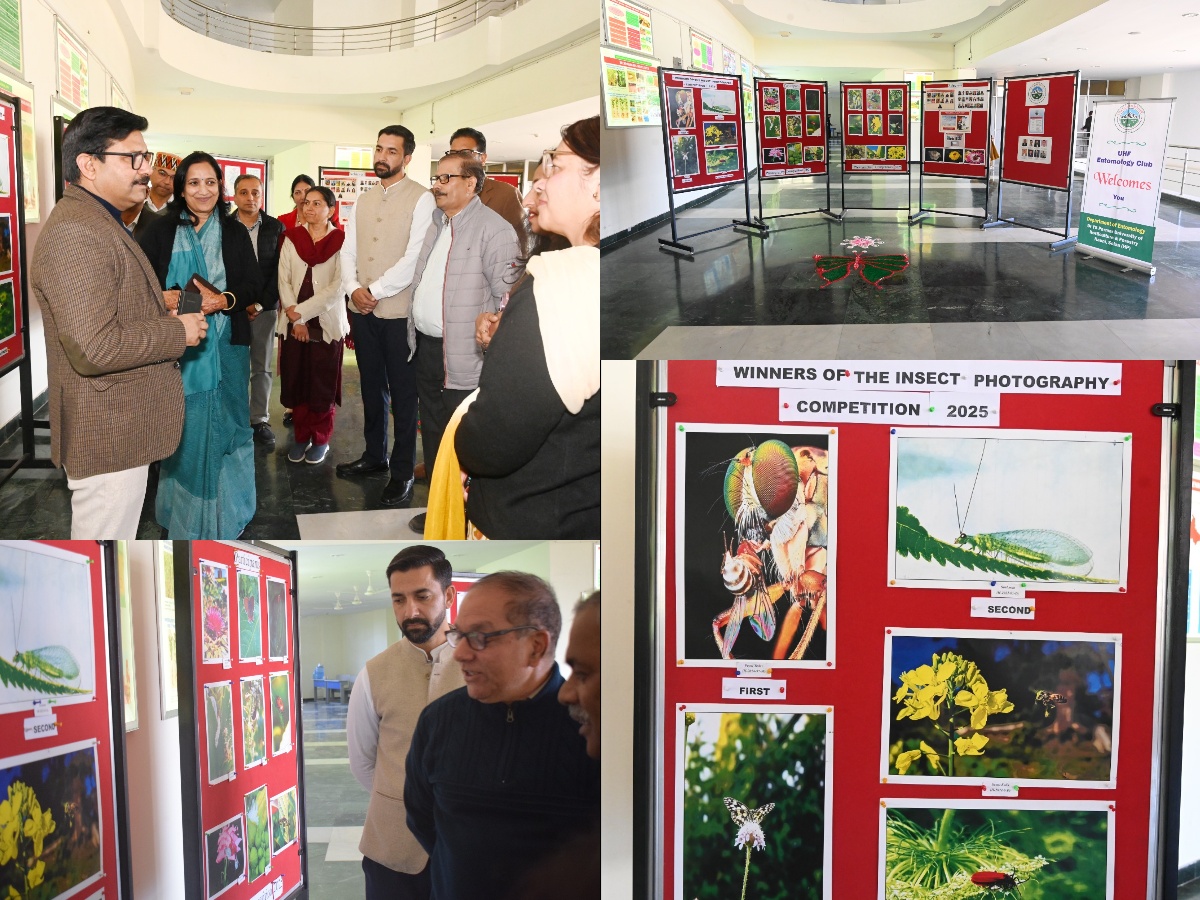 photography Competition